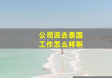 公司派去泰国工作怎么样啊