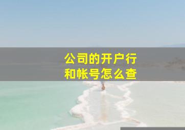 公司的开户行和帐号怎么查