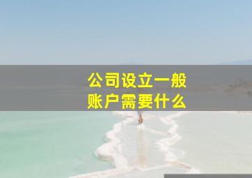 公司设立一般账户需要什么