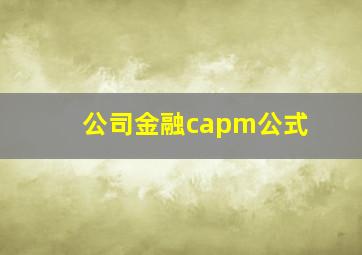 公司金融capm公式