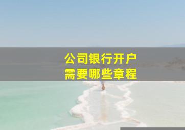 公司银行开户需要哪些章程