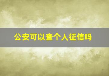 公安可以查个人征信吗