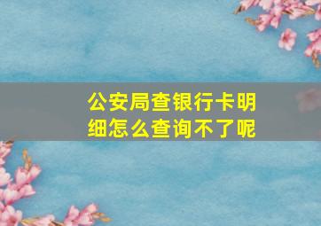 公安局查银行卡明细怎么查询不了呢