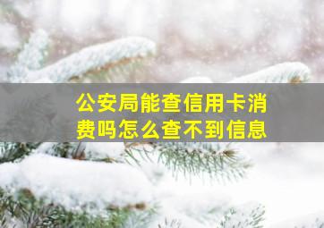 公安局能查信用卡消费吗怎么查不到信息