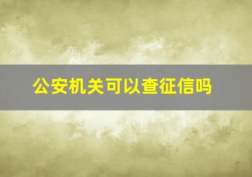 公安机关可以查征信吗