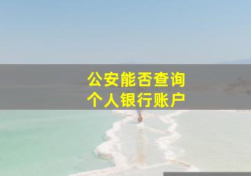 公安能否查询个人银行账户