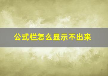 公式栏怎么显示不出来