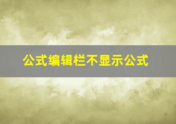 公式编辑栏不显示公式