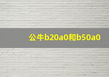 公牛b20a0和b50a0