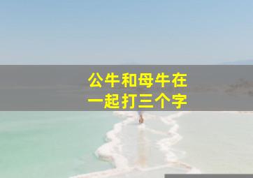 公牛和母牛在一起打三个字