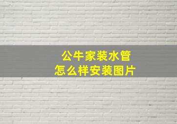 公牛家装水管怎么样安装图片