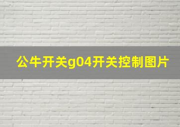 公牛开关g04开关控制图片