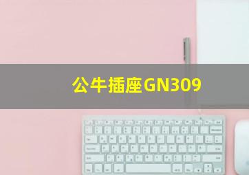 公牛插座GN309