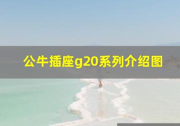 公牛插座g20系列介绍图