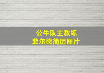 公牛队主教练菲尔德简历图片