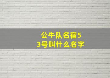 公牛队名宿53号叫什么名字