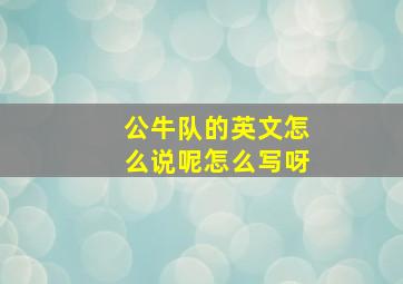 公牛队的英文怎么说呢怎么写呀