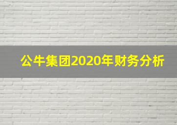 公牛集团2020年财务分析