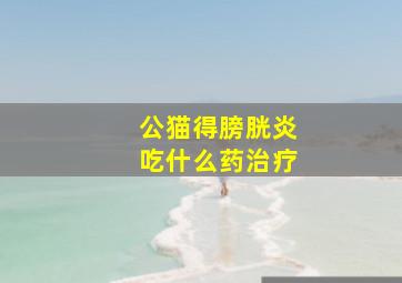 公猫得膀胱炎吃什么药治疗