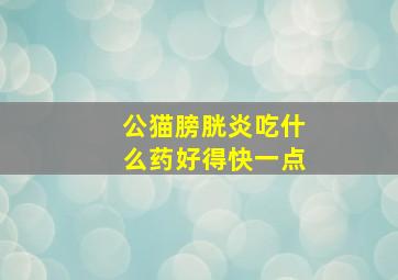 公猫膀胱炎吃什么药好得快一点