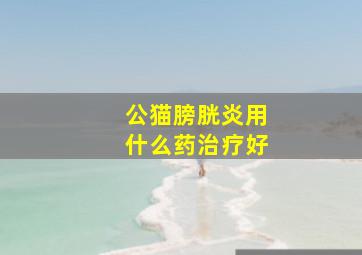 公猫膀胱炎用什么药治疗好