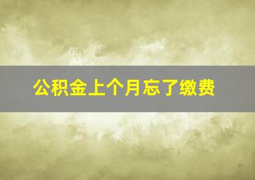 公积金上个月忘了缴费