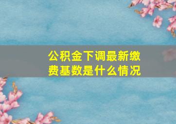 公积金下调最新缴费基数是什么情况