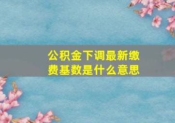 公积金下调最新缴费基数是什么意思