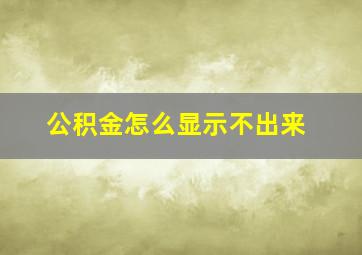 公积金怎么显示不出来