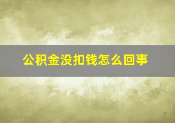 公积金没扣钱怎么回事