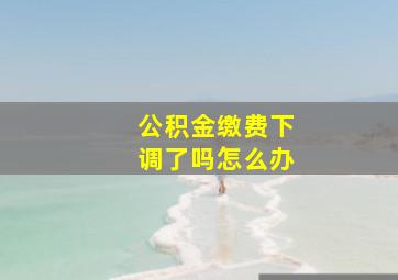 公积金缴费下调了吗怎么办