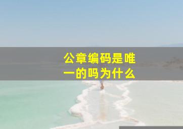 公章编码是唯一的吗为什么