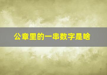 公章里的一串数字是啥