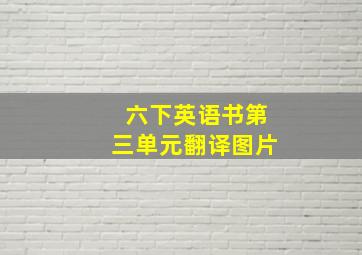 六下英语书第三单元翻译图片