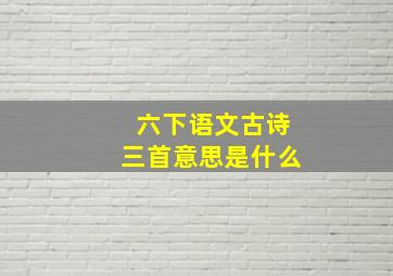 六下语文古诗三首意思是什么