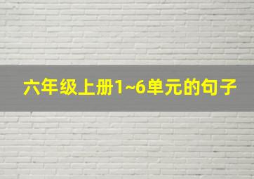 六年级上册1~6单元的句子