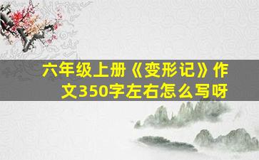 六年级上册《变形记》作文350字左右怎么写呀