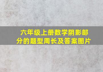 六年级上册数学阴影部分的题型周长及答案图片