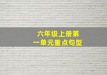 六年级上册第一单元重点句型