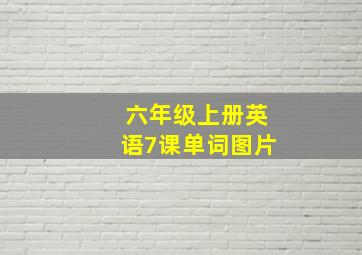 六年级上册英语7课单词图片