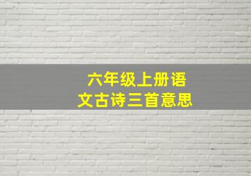 六年级上册语文古诗三首意思