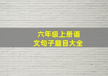 六年级上册语文句子题目大全