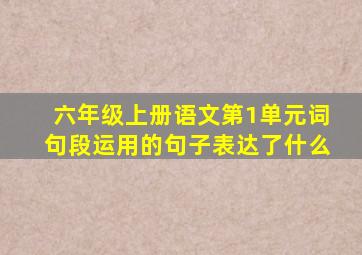 六年级上册语文第1单元词句段运用的句子表达了什么