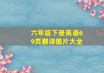 六年级下册英语69页翻译图片大全