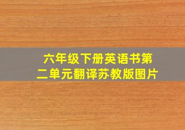 六年级下册英语书第二单元翻译苏教版图片