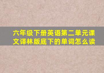 六年级下册英语第二单元课文译林版底下的单词怎么读