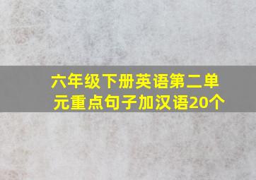 六年级下册英语第二单元重点句子加汉语20个