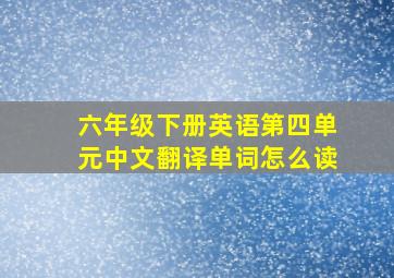 六年级下册英语第四单元中文翻译单词怎么读