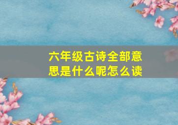 六年级古诗全部意思是什么呢怎么读