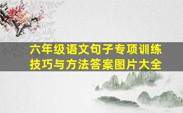 六年级语文句子专项训练技巧与方法答案图片大全